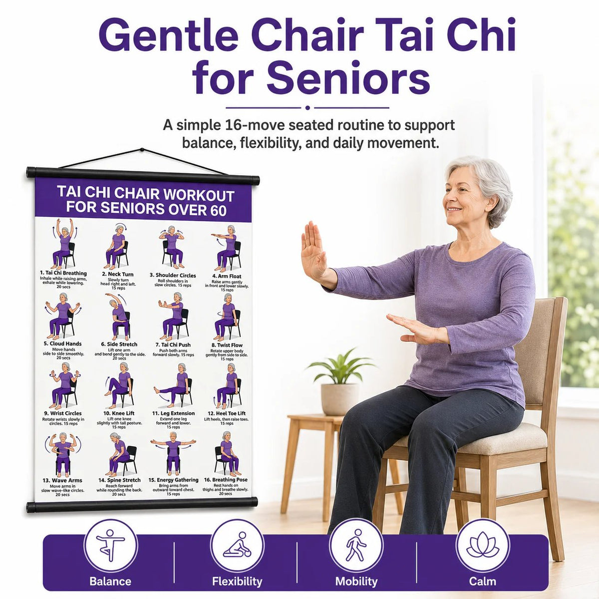 Tai Chi Workout Poster for Seniors